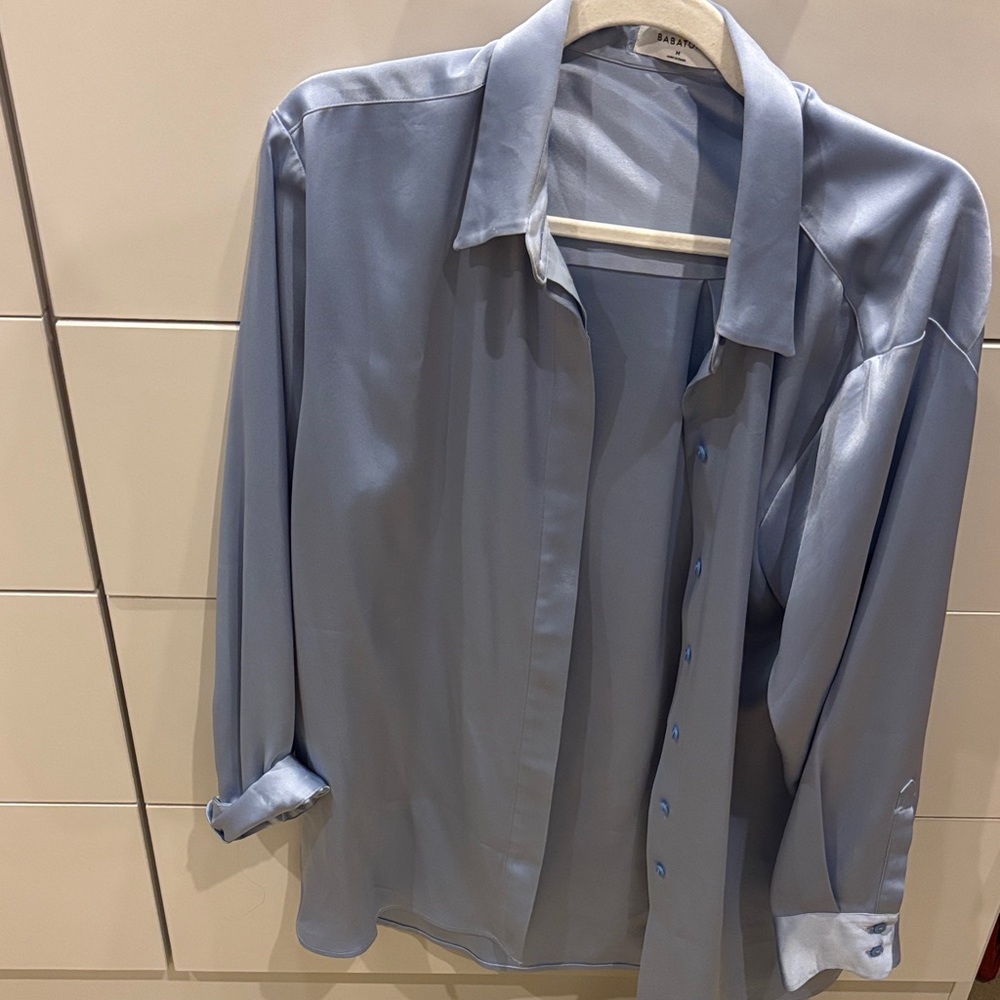 Aritzia Babaton Silk Blouse